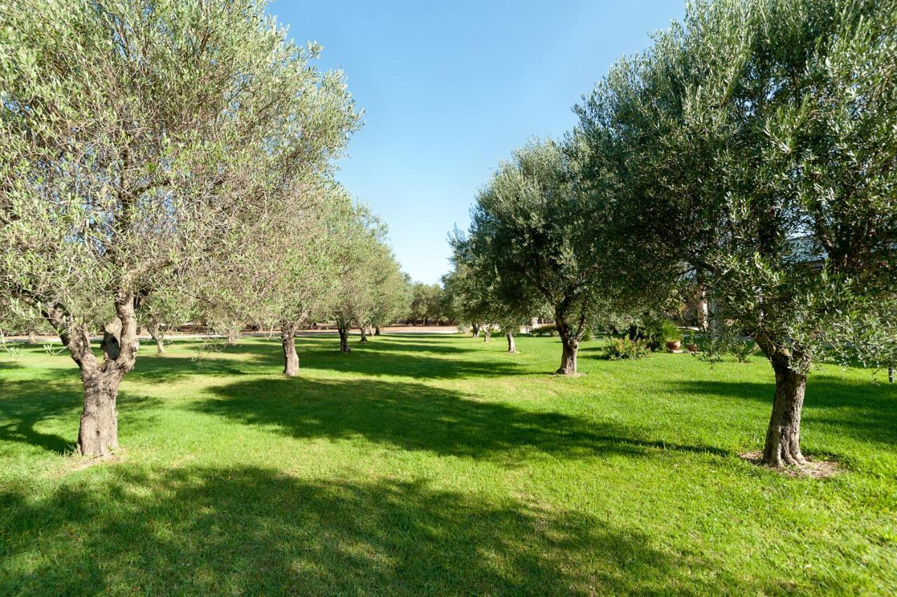 Olive Garden House Villa บอร์กาญเญ ภายนอก รูปภาพ